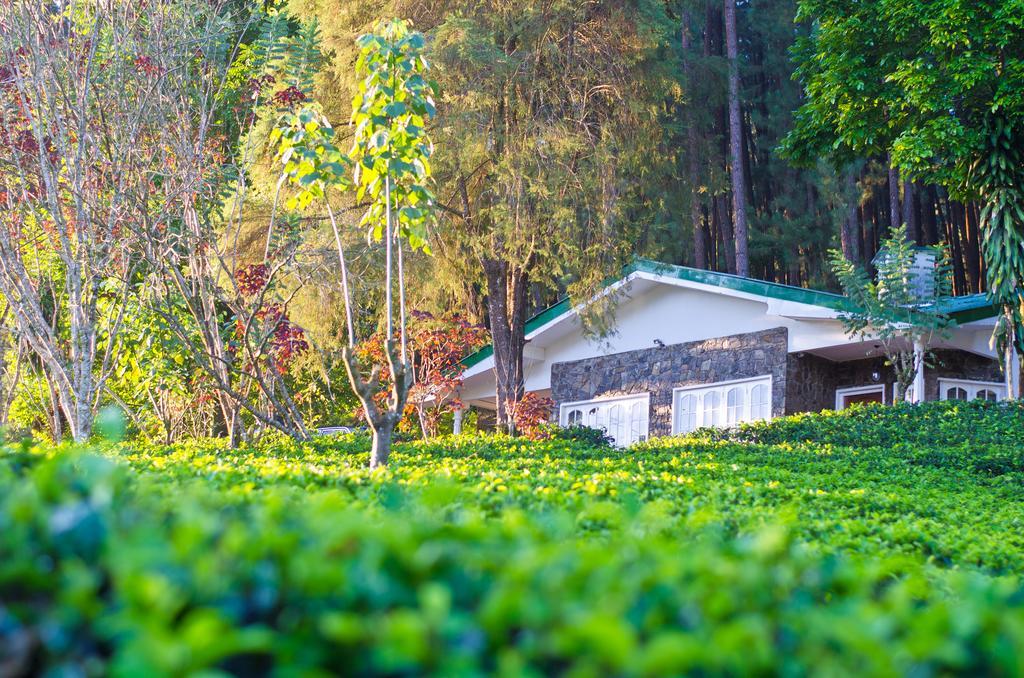 Greendale Holiday Bungalow Villa Watawala Dış mekan fotoğraf